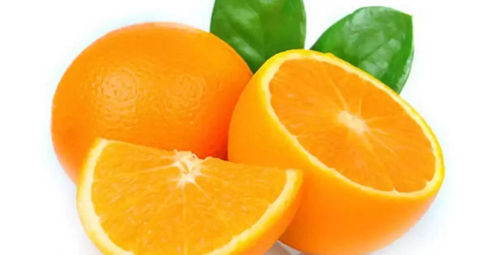 orangeshine, oranges calories, orangeshine wholesale, orangeshinecom, orangeshine wholesale clothing, oranges poem, oranges benefits, oranges nutrition, oranges new world, oranges gary soto,