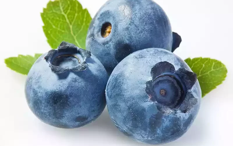 Blueberries,Blueberrie,blueberries calories 100 grams, blueberries nutrition, blueberries calories, blueberries nutrition facts, blueberries benefits, blueberries for dogs, blueberries health benefits, blueberries carbs, blueberries in spanish, blueberries recipes,