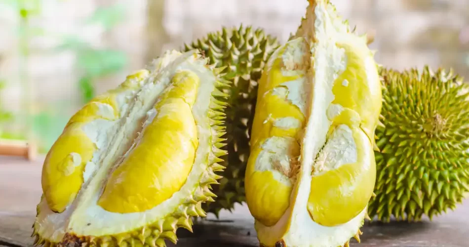 Durian,durian fruit, durian calories 100 grams, durian tree, durianrider, durian smell, durian pizza, durian fruit smell, durian vs jackfruit, durian taste, durian cake,